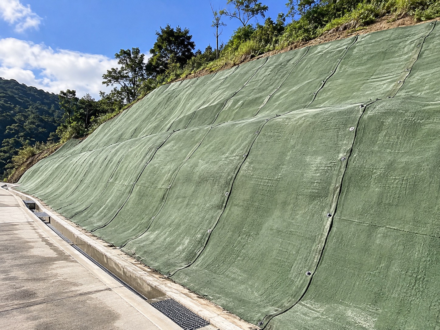 道路旁坡面鋪設展示，使用者提供照片